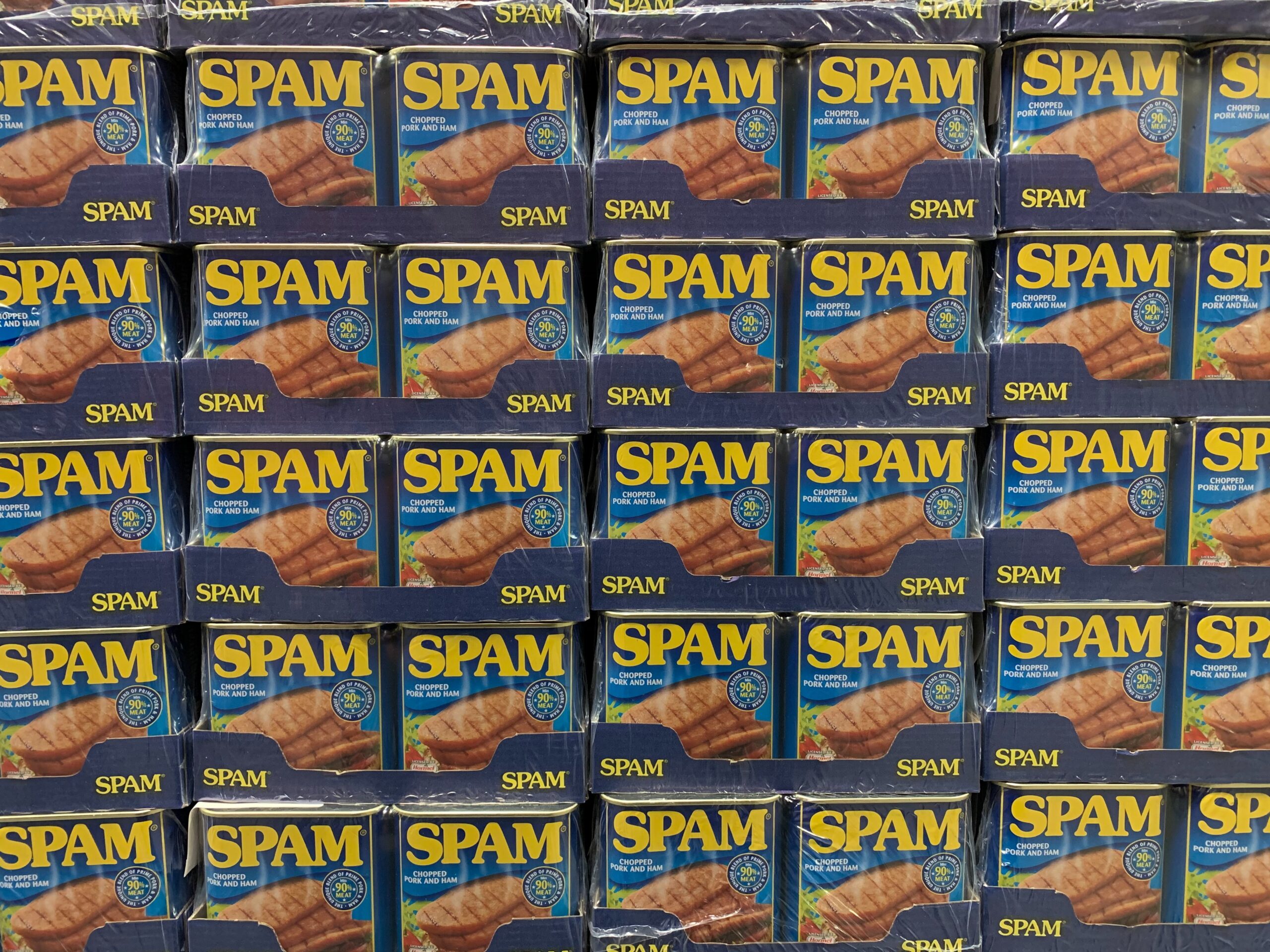 spam scaled