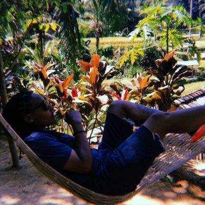 Beez in a hammock in a tropical setting