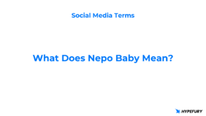 What does Nepo Baby mean