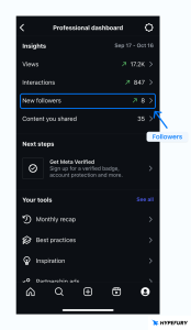 Instagram Insights New Followers